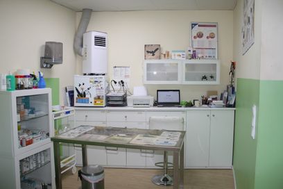 consulta veterinario